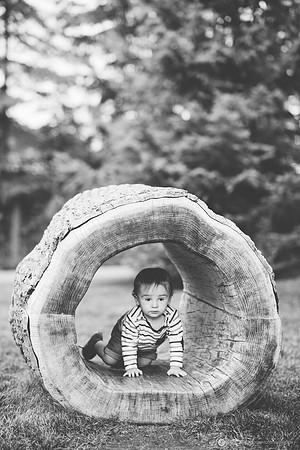 LLO_6176