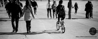 LLP_0220