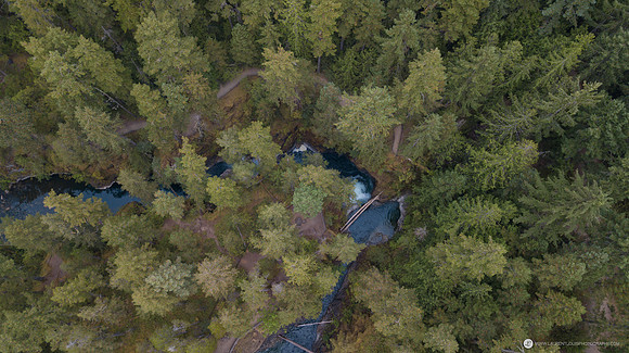DJI_0142