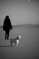 LLP_9684