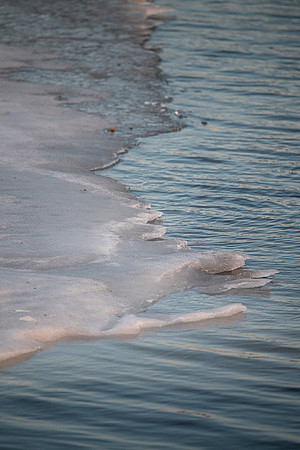 LLP_3105