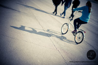 LLP_0221