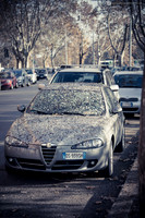 LLO_7405