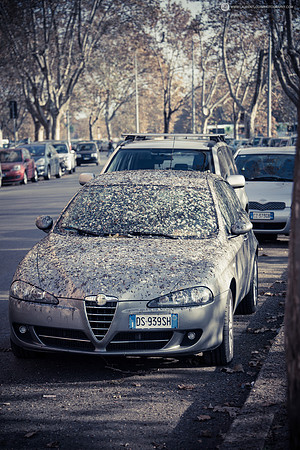 LLO_7405
