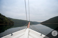 LLP_0805