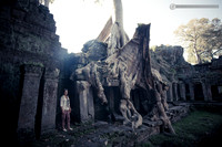 LLO_0390