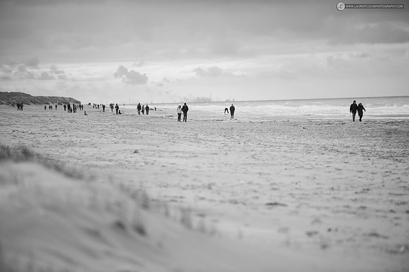 LLP_9281