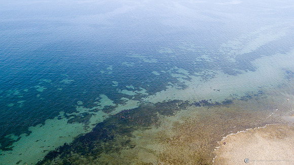 DJI_0124