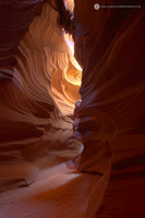 LLP_6649-Modifier