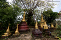 LLO_2739