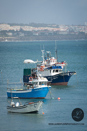 LLP_5594