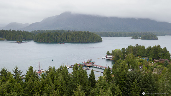 DJI_0206