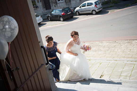 LLP_8529