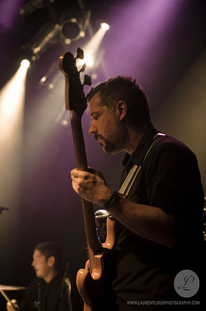 The Aggrolites
