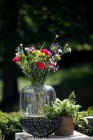 LLP_9799