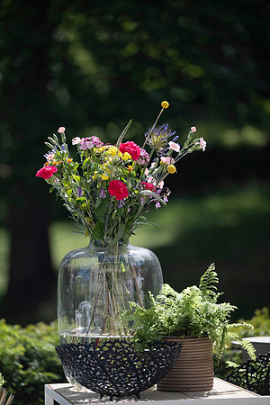 LLP_9799