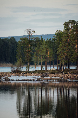 LLP_3107