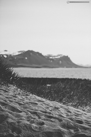 LLP_4497