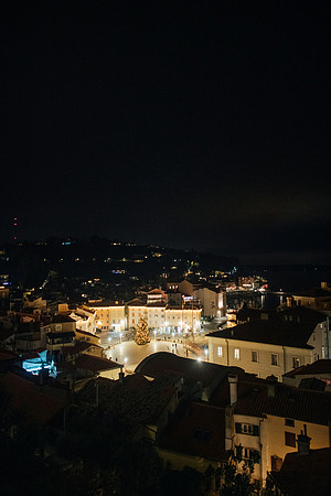 LLO_0132