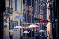 LLO_7390