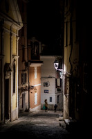 LLO_0120
