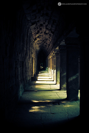 LLO_1244