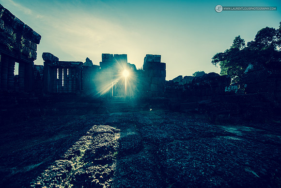 LLO_0498