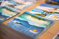 LLP_9005