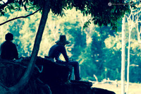 LLO_0453