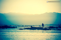 LLO_6777-2