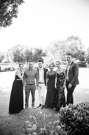 LLP_9195