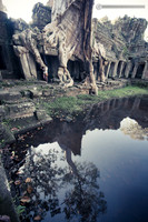 LLO_0391
