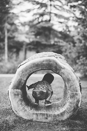 LLO_6174