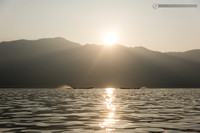 LLO_6820
