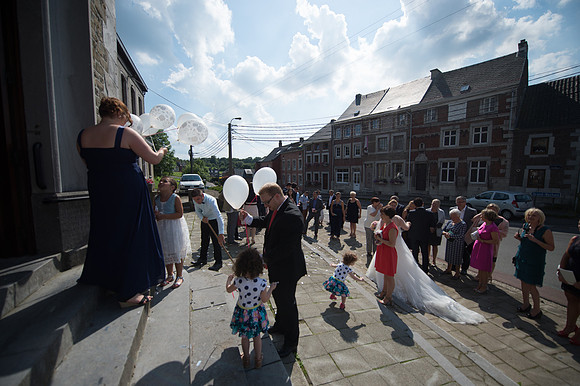LLP_9043