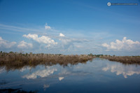 LLO_0425