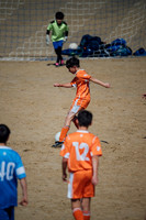 LLP_8943