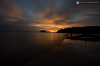 LLO_7840