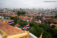 LLO_0116