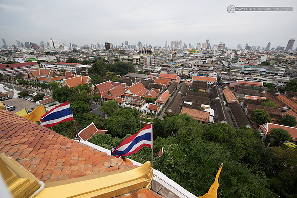 LLO_0116