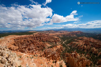 LLP_6079