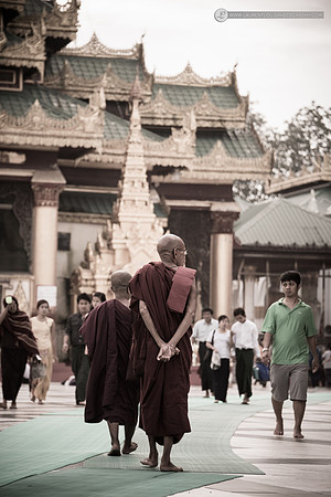 LLO_2241