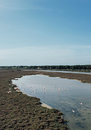 DJI_0386