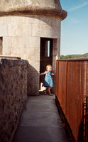 LLZ_2003