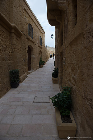 LLP_7270