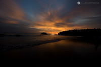 LLO_7842