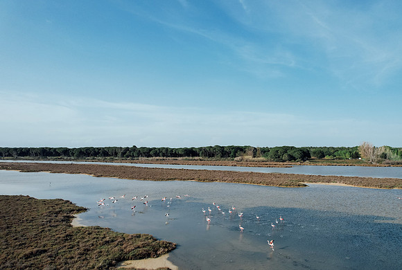 DJI_0383