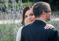 LLO_0244