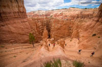LLP_6260