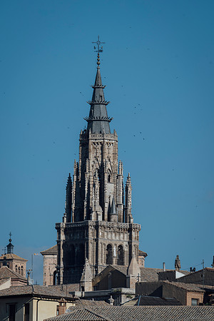 LLP_9160